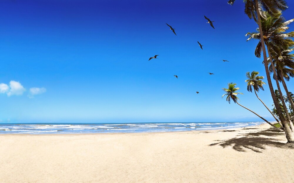 Beach