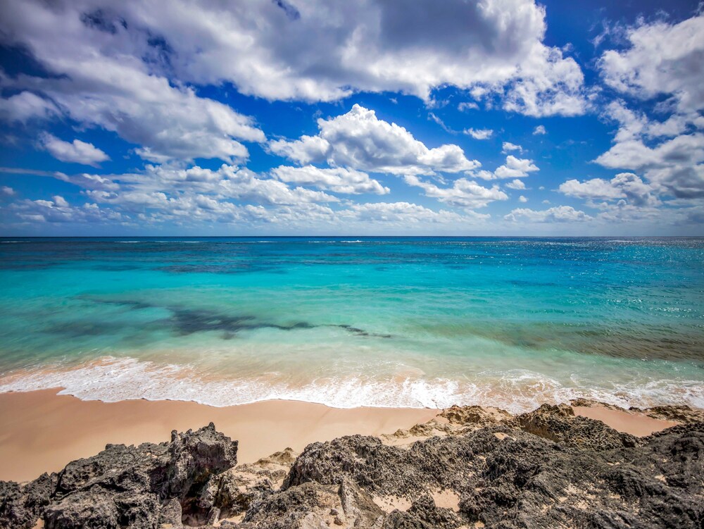 Beach/Ocean View