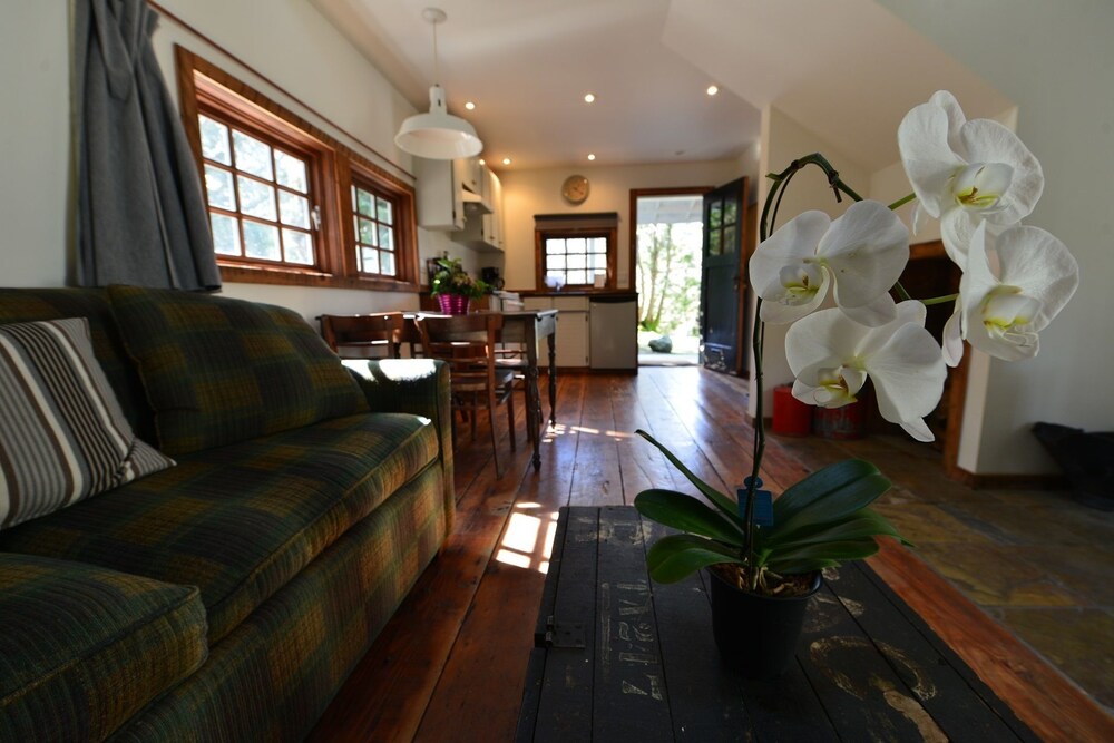 Cabin, 1 Bedroom, Kitchen, Mountain View - Living Room