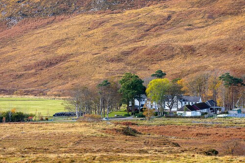Hartfield House Hostel
