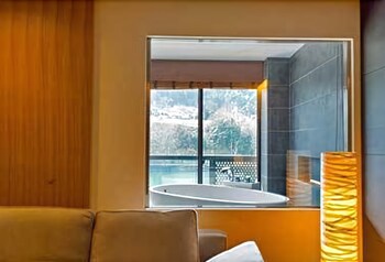 客室からの眺望