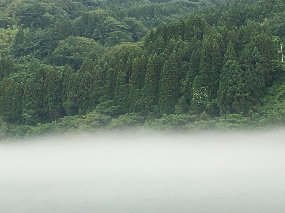 ホテルからの眺望