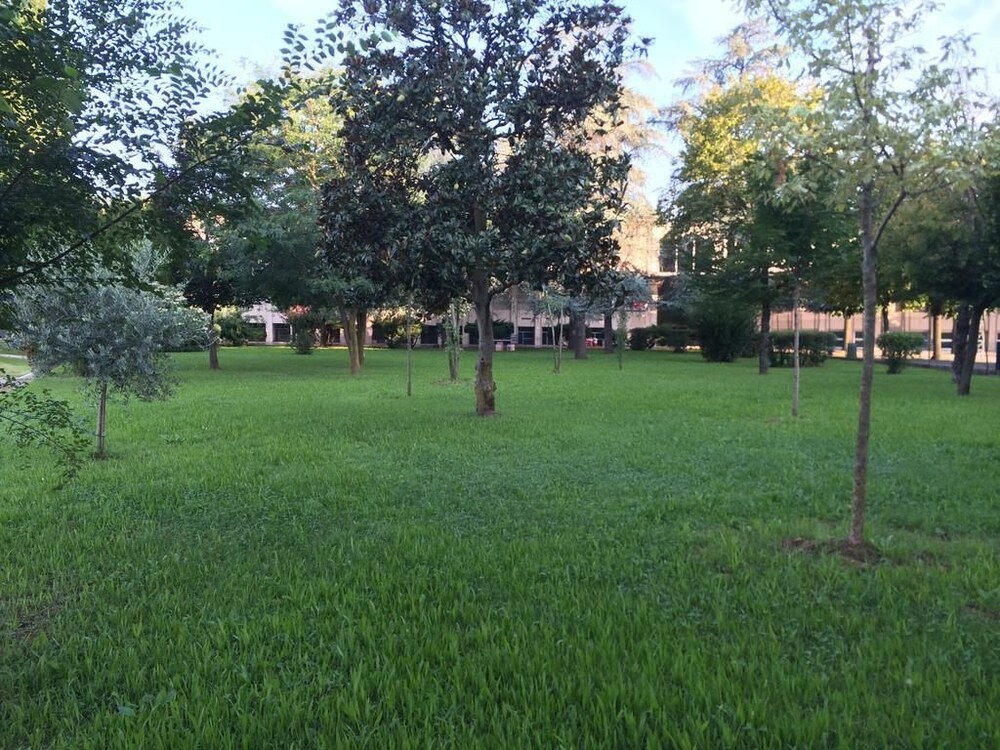 Giardino