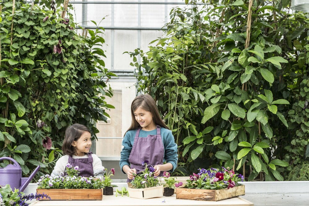 Children’s Activities