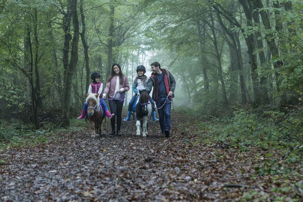 Horse Riding