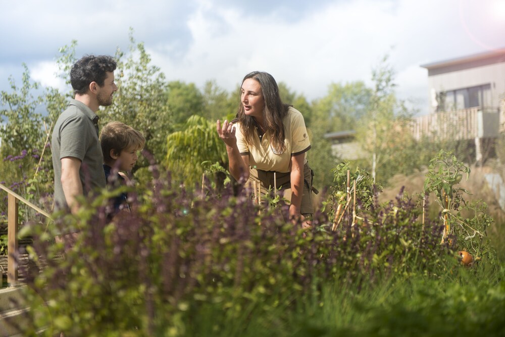 Children’s Activities