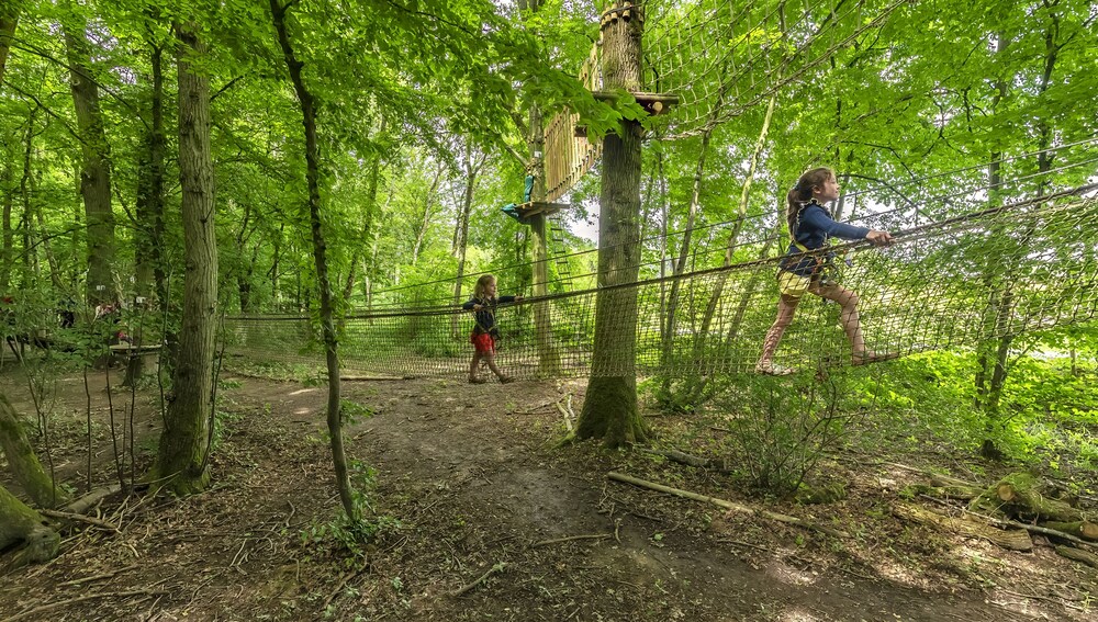 Children’s Activities