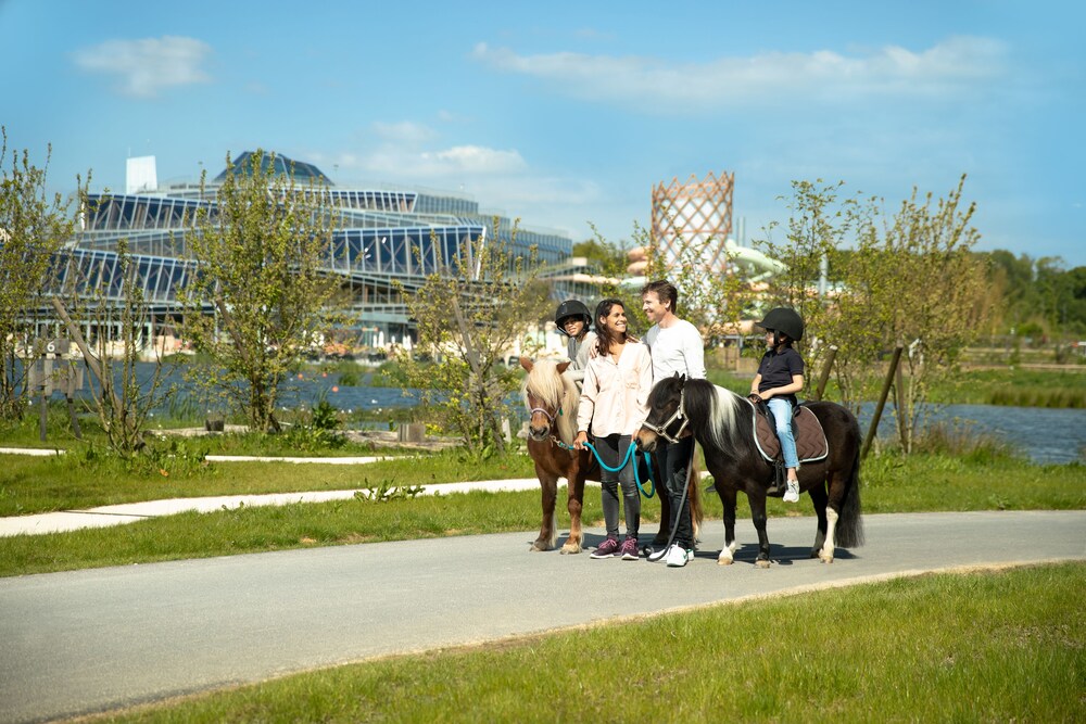 Children’s Activities