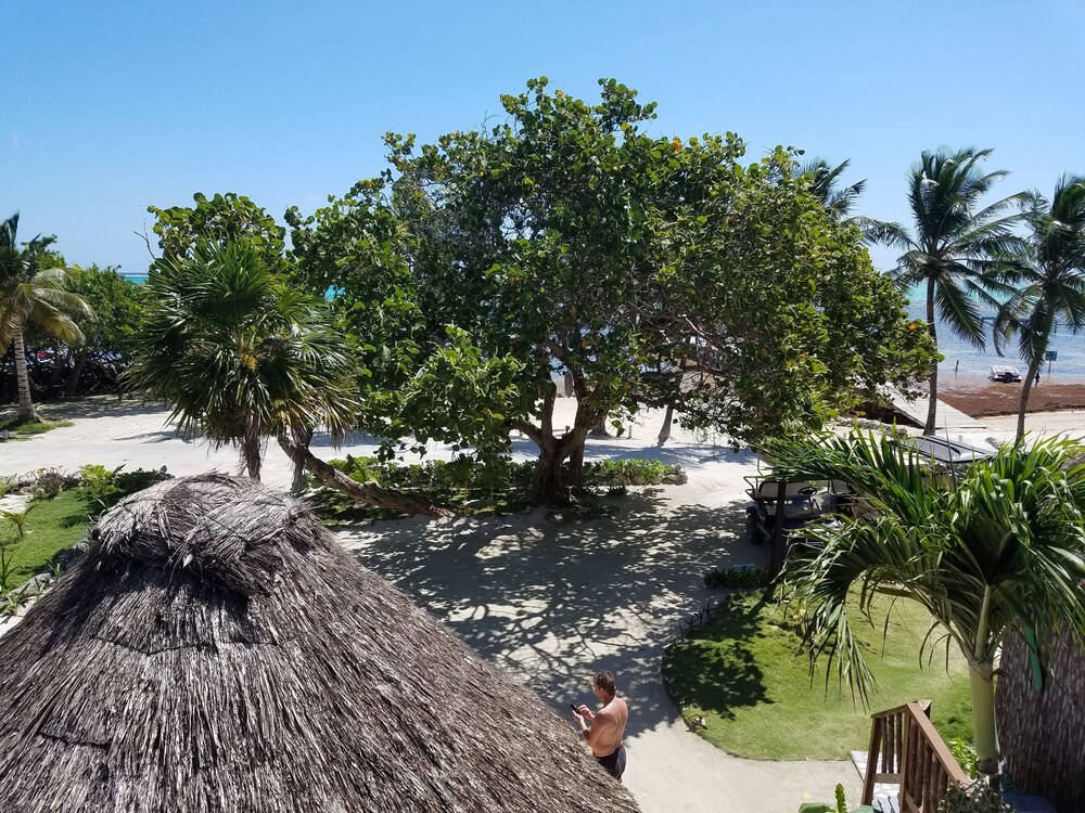 Guestroom View