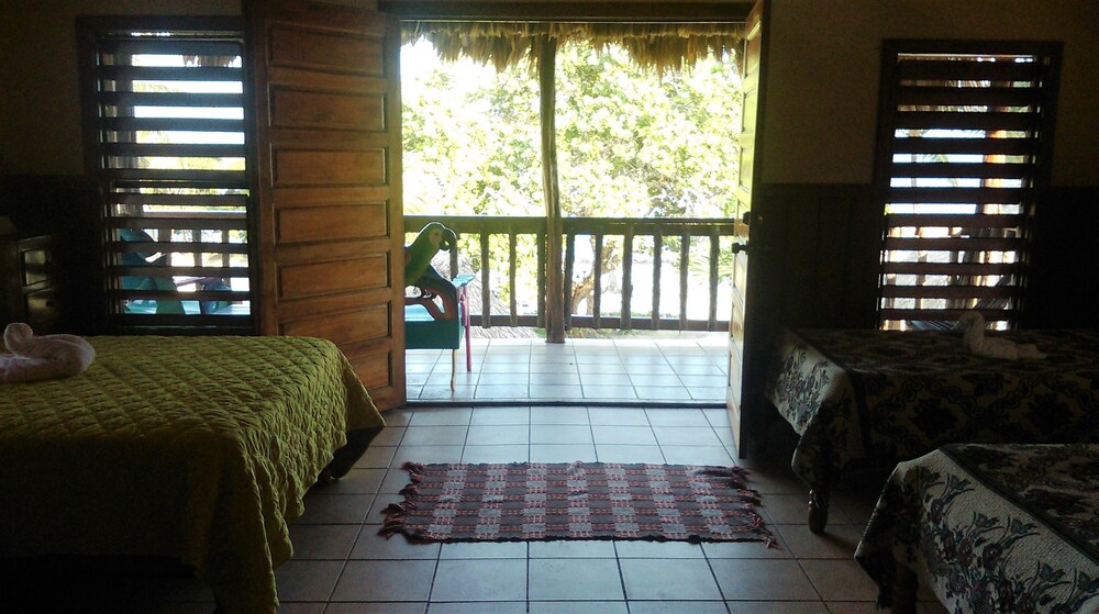 Guestroom View