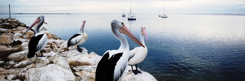 Kangaroo Island Coastal Villas