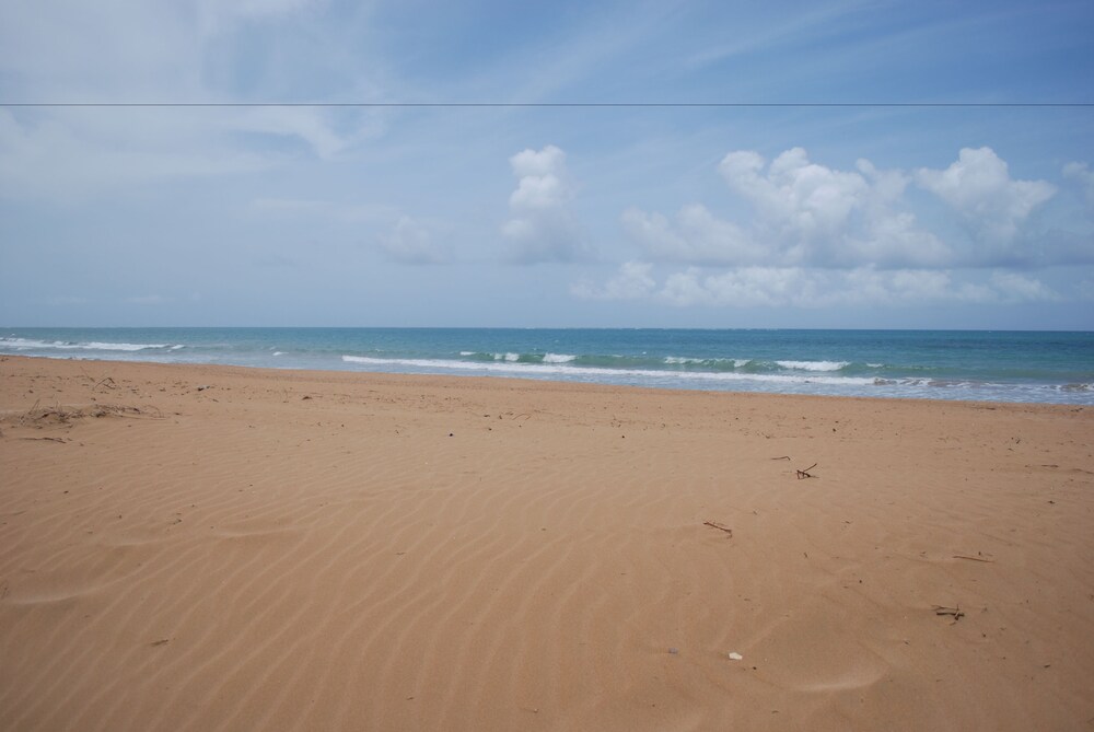 해변