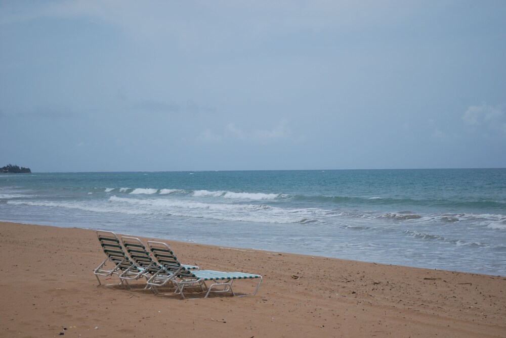 해변