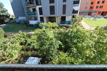Guestroom View