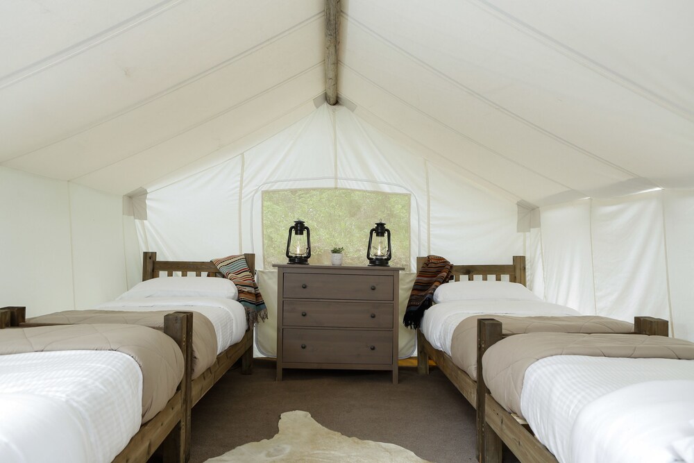Safari with 4 Twin Beds Tent - Shared Bath - Room