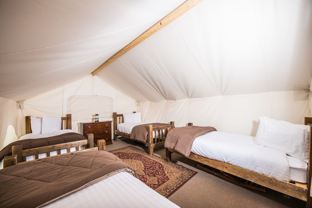 Safari with 4 Twin Beds Tent - Shared Bath - Room