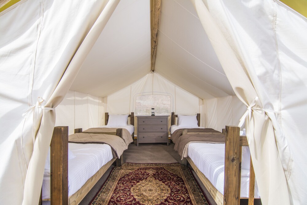 Safari with 4 Twin Beds Tent - Shared Bath - Room