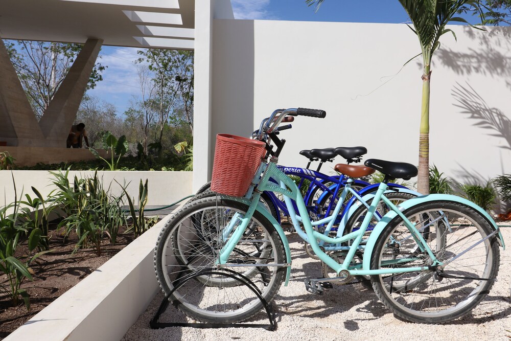 Bicicletas