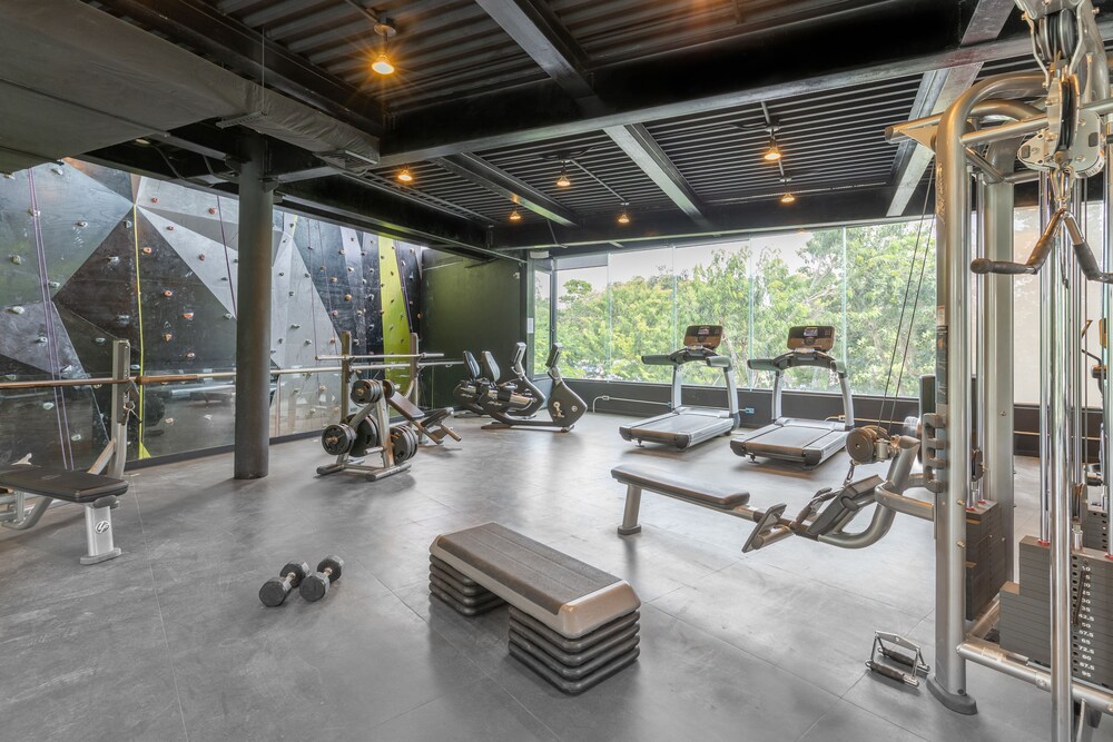 Gimnasio