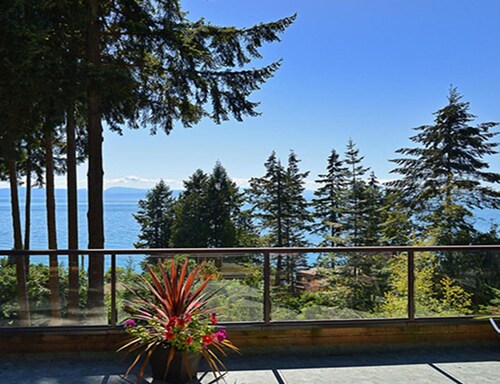 Sunshine Coast Treetop Bed & Breakfast