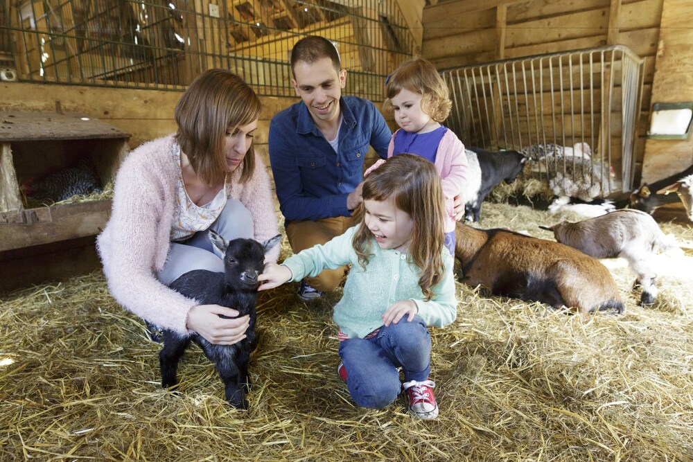 Activités pour enfants