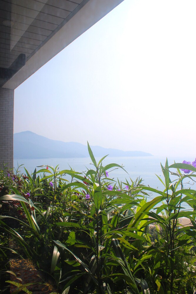 Hiên