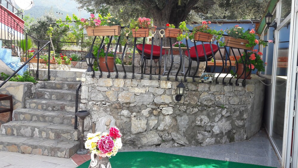 Teras/Patio