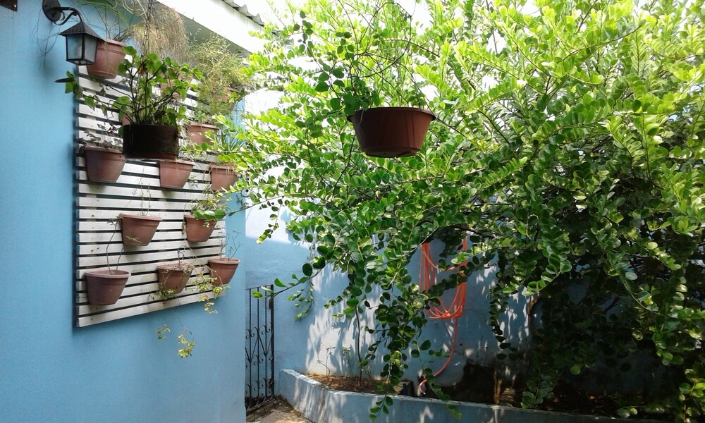 Jardim