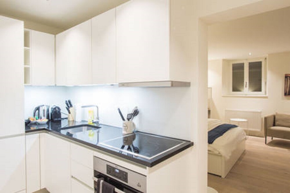 Küche im Zimmer (Dufour - City Center Studio)