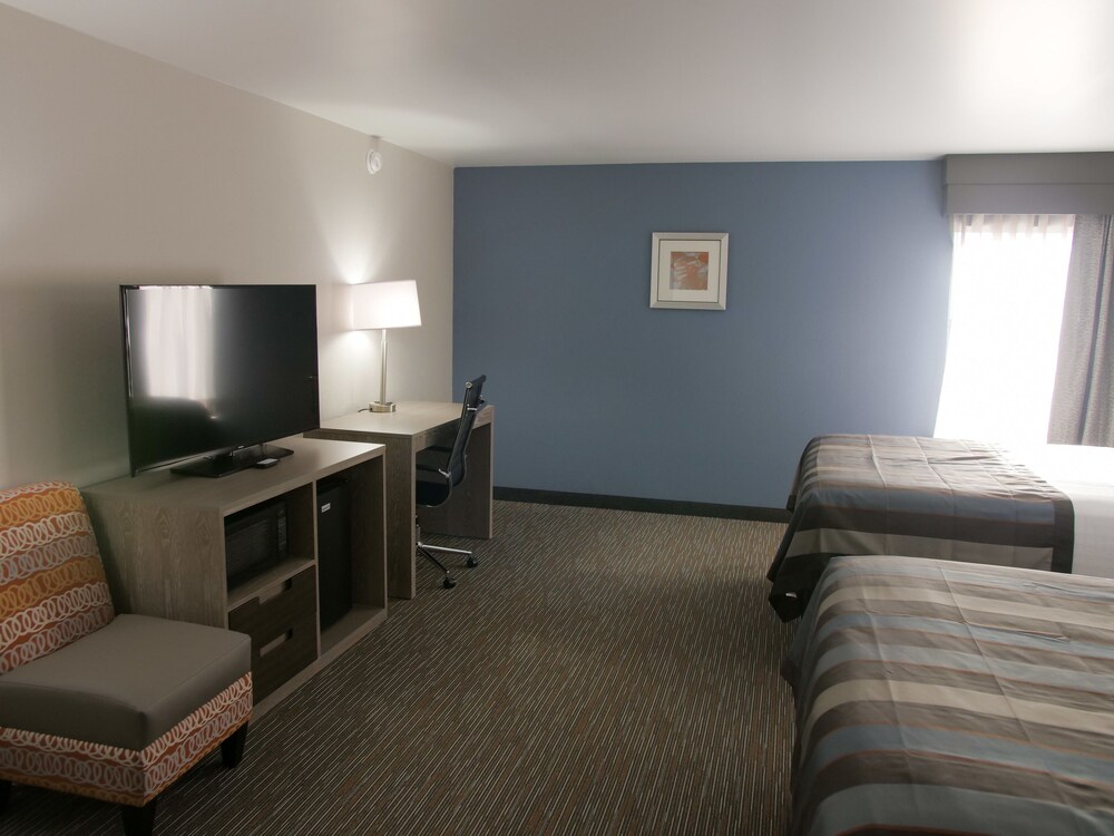 Guestroom View