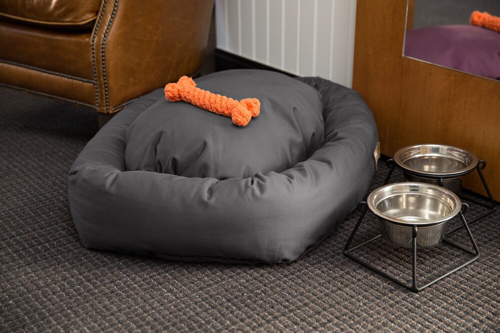 Pet-Friendly