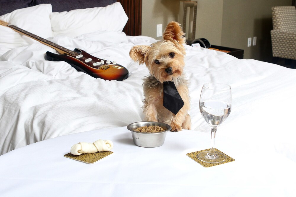 Pet-Friendly