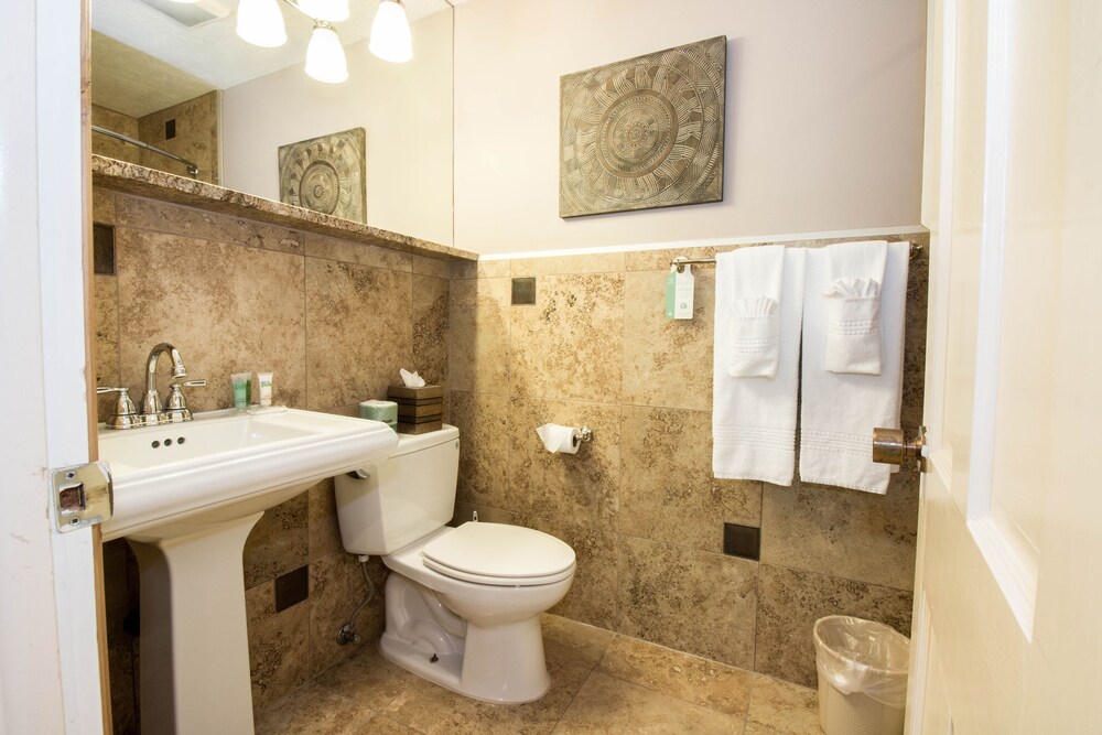 Cuarto de baño: Suite estándar, 1 habitación, cocina