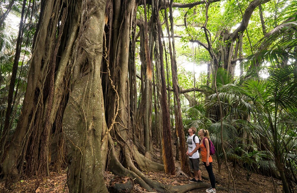 Hiking