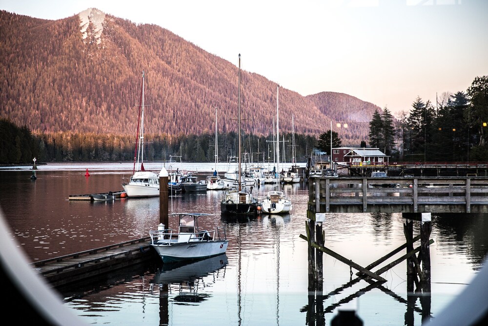 Dock
