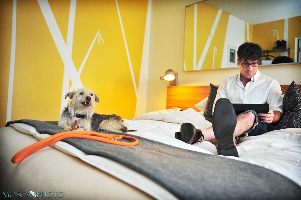 Guestroom