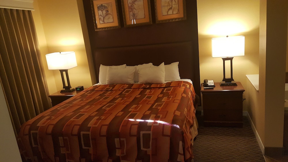 Suite, 1 Bedroom - Guestroom