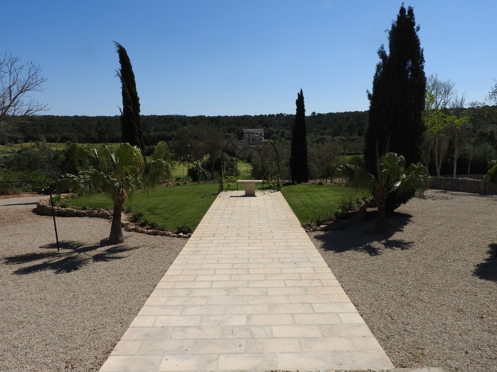 Outdoor Wedding Area