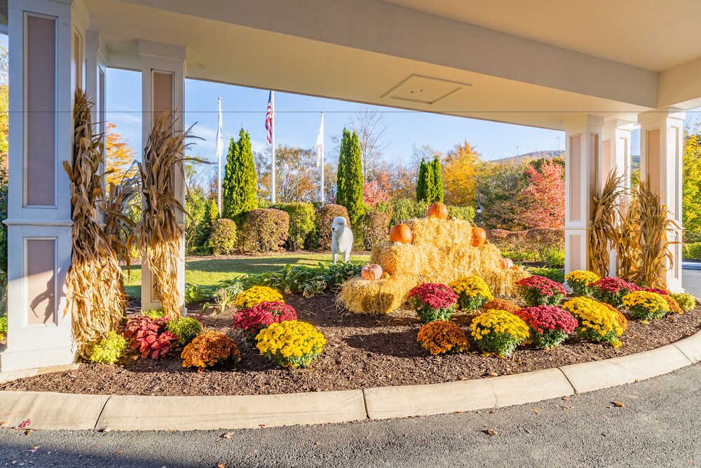 Hotel Entrance