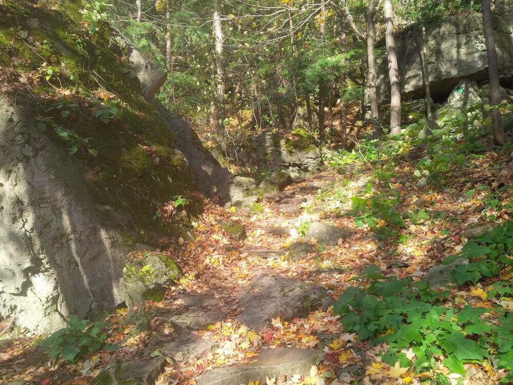 Hiking