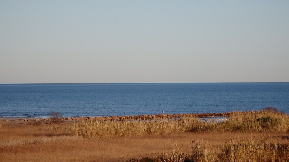Beach/Ocean View