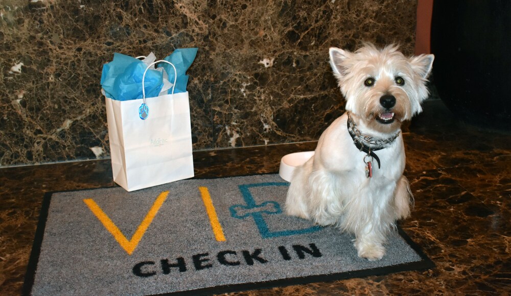 Pet-friendly, The Atlantic Hotel & Spa