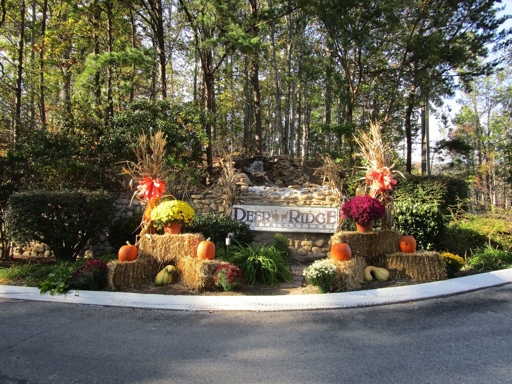 Hotel Entrance
