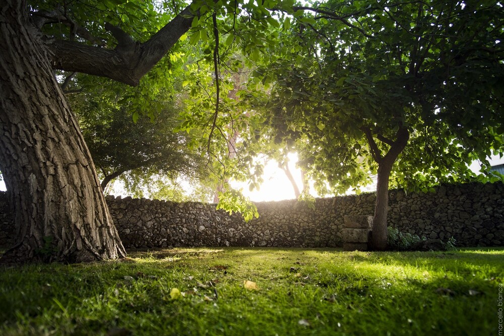 Giardino