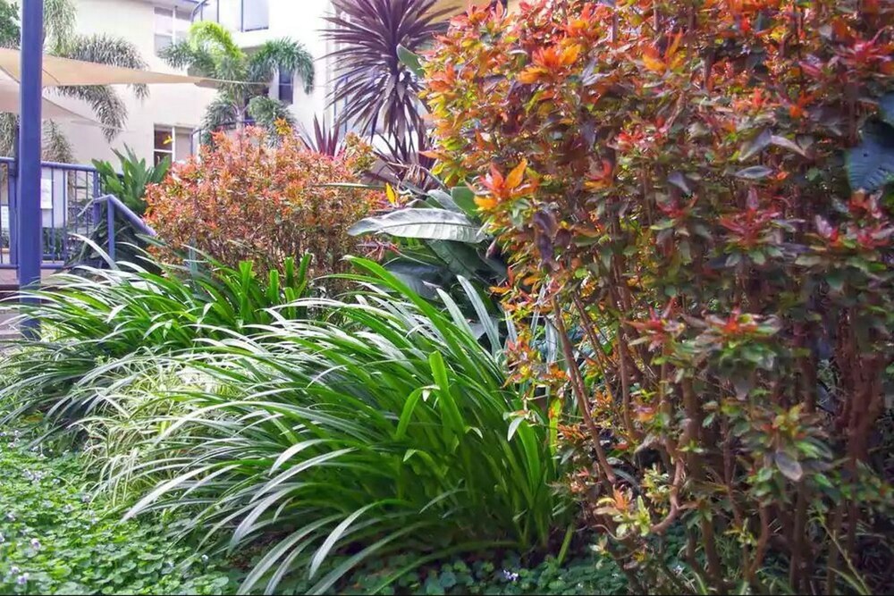 Garden View Studio - Guestroom View