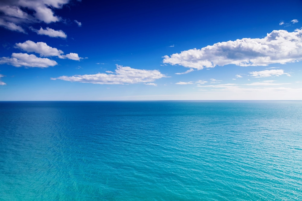 Beach/Ocean View
