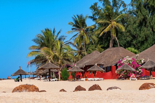 Royal Horizon Baobab