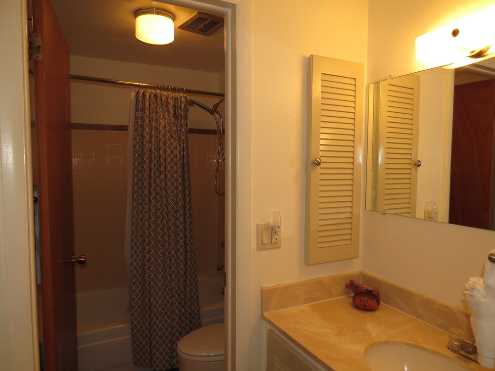 1 Bedroom One Bath Lakeside Condominium - Bathroom