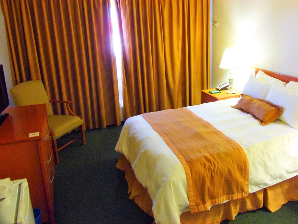Guestroom View
