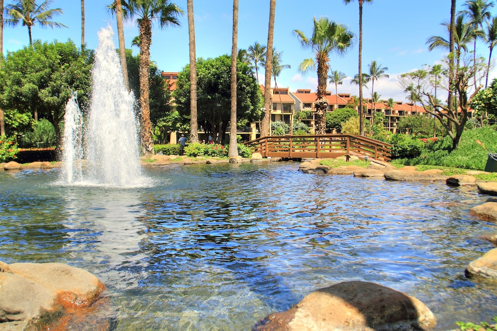 Fountain